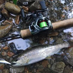 渓流でアマゴ狙い ～長良川水系～